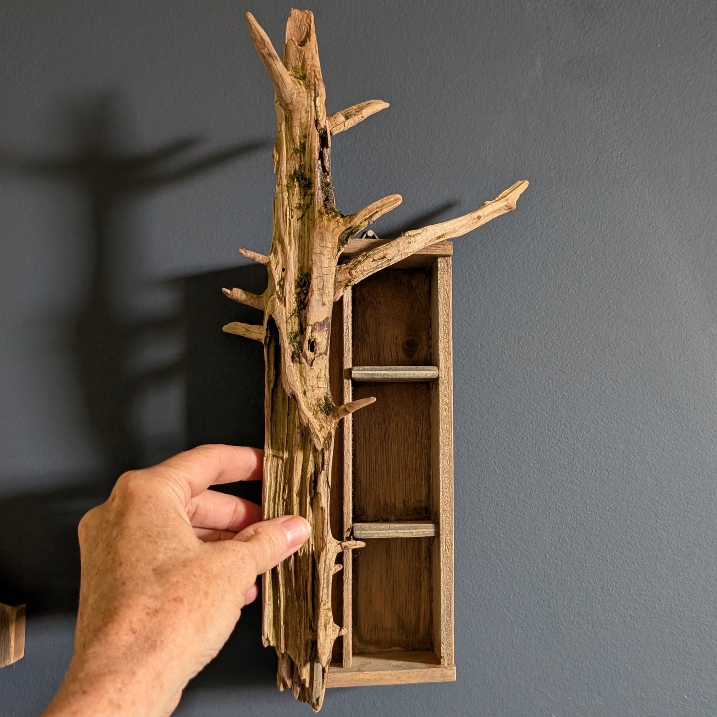 Driftwood and cigar box miniature shelf wall hanging