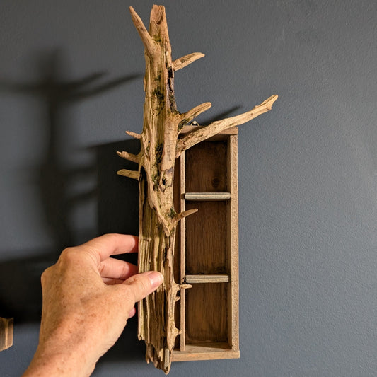 Driftwood and cigar box miniature shelf wall hanging